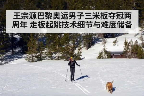 王宗源巴黎奥运男子三米板夺冠两周年 走板起跳技术细节与难度储备
