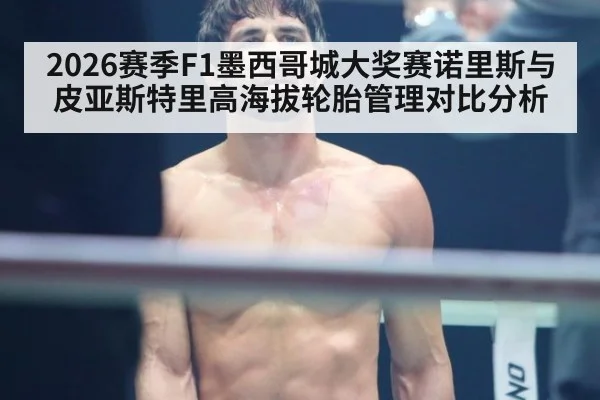 2026赛季F1墨西哥城大奖赛诺里斯与皮亚斯特里高海拔轮胎管理对比分析
